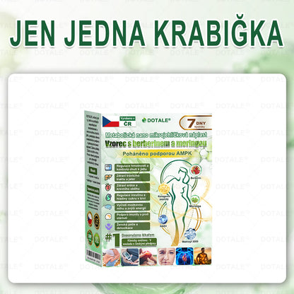 Poslední šance! Nenechte si ujít tuto příležitost se slevou 50 %! | 𝑫𝑶𝑻𝑨𝑳𝑬® Metabolická Nano Mikroneedlová Náplast